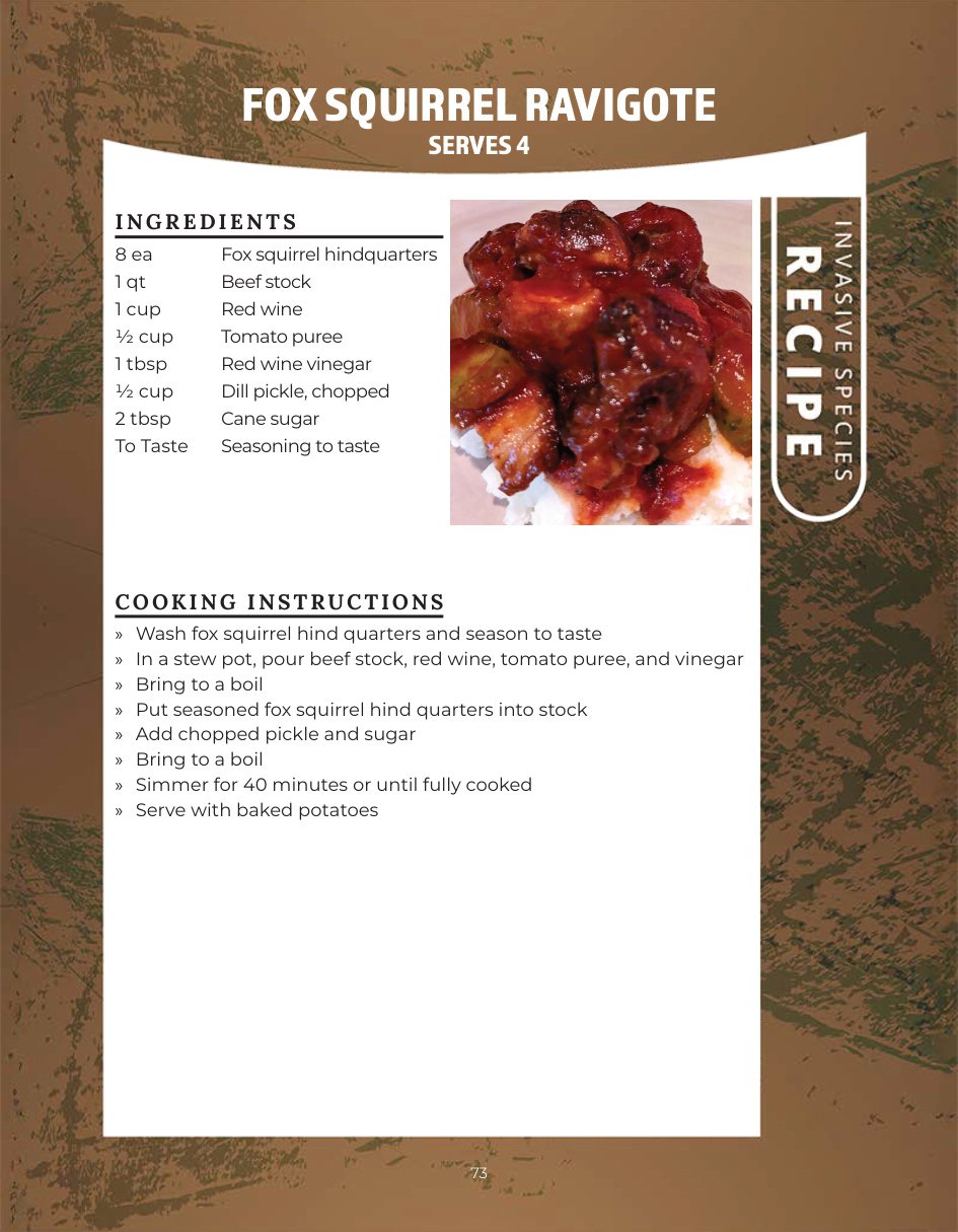Original recipe page: FOX SQUIRREL RAVIGOTE