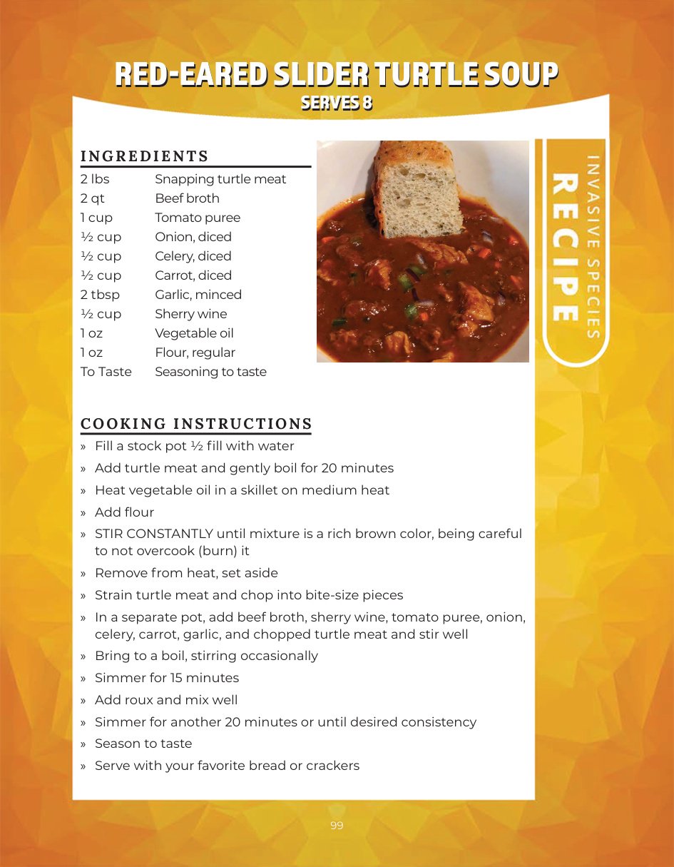 Original recipe page: RED-EARED SLIDER TURTLE SOUP