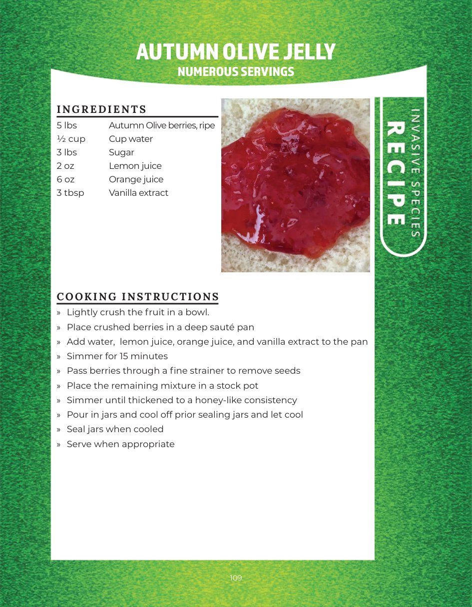 Original recipe page: AUTUMN OLIVE JELLY